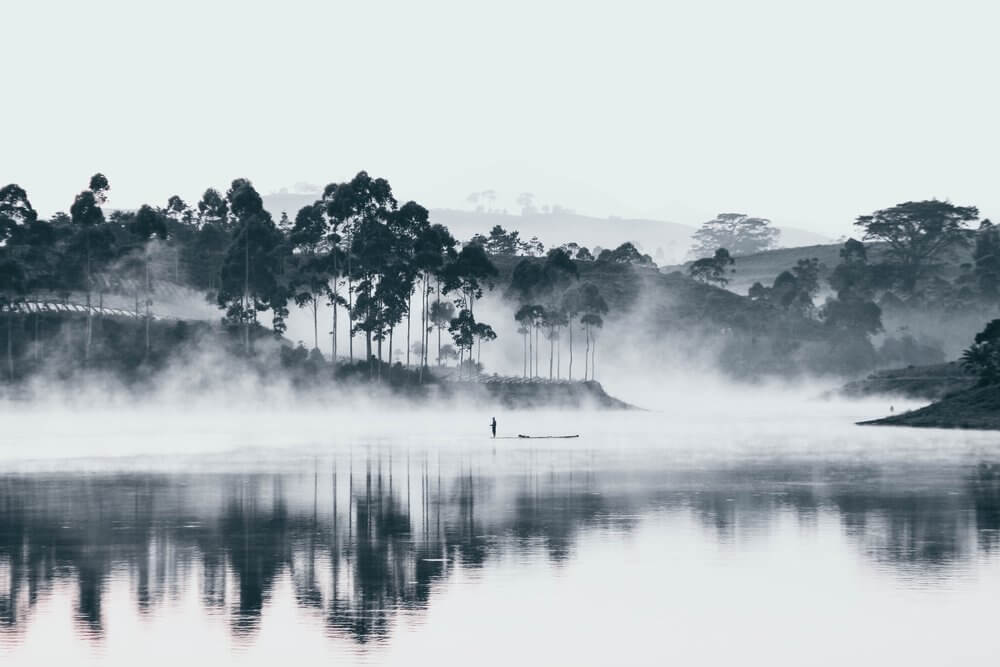 The Healing Power of Rest: Reflections on the Water Element