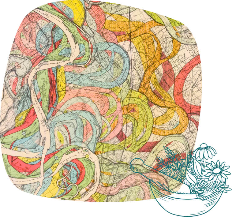 twelve-primary-channels-of-the-body